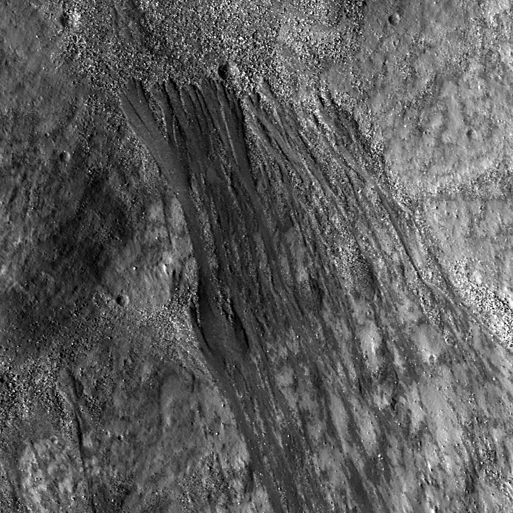 Tendrils in Reiner Crater