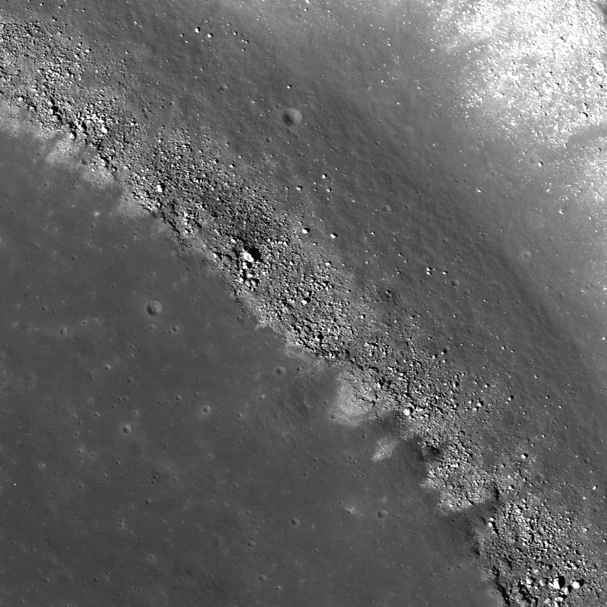 Dark surface materials surrounding Rima Marius